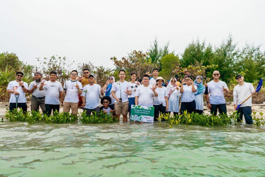 mangrove planting indonet edge dc