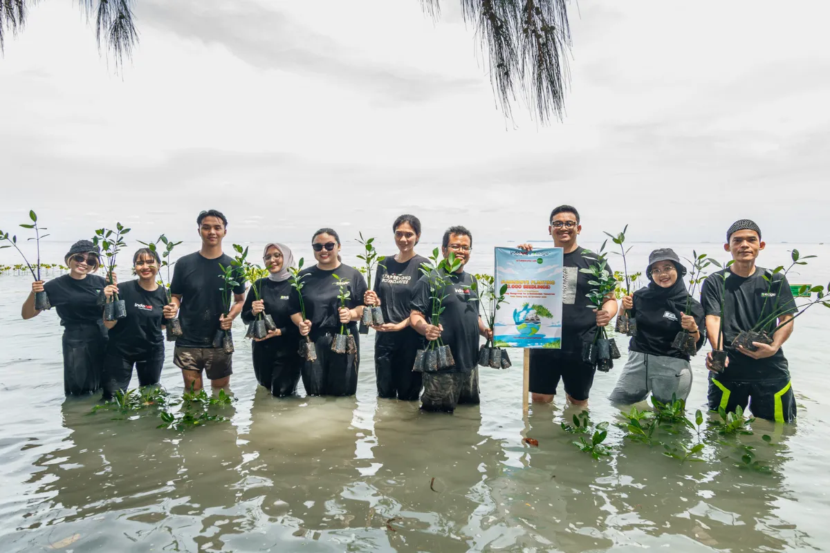 3000 Mangrove Plants for a Greener Future