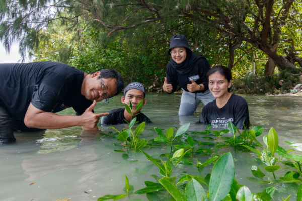 3000 Mangrove Plants for a Greener Future 