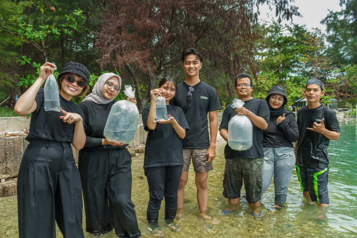 3000 Mangrove Plants for a Greener Future