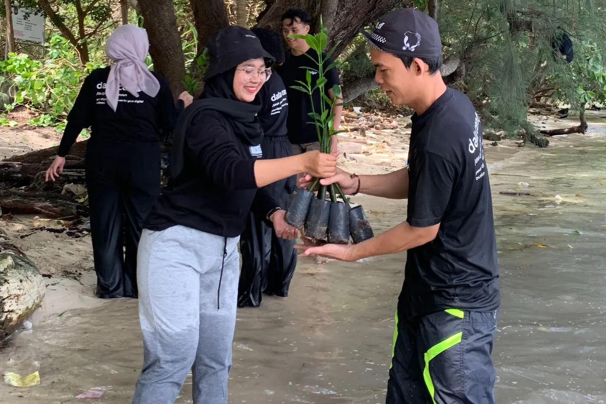 3000 Mangrove Plants for a Greener Future