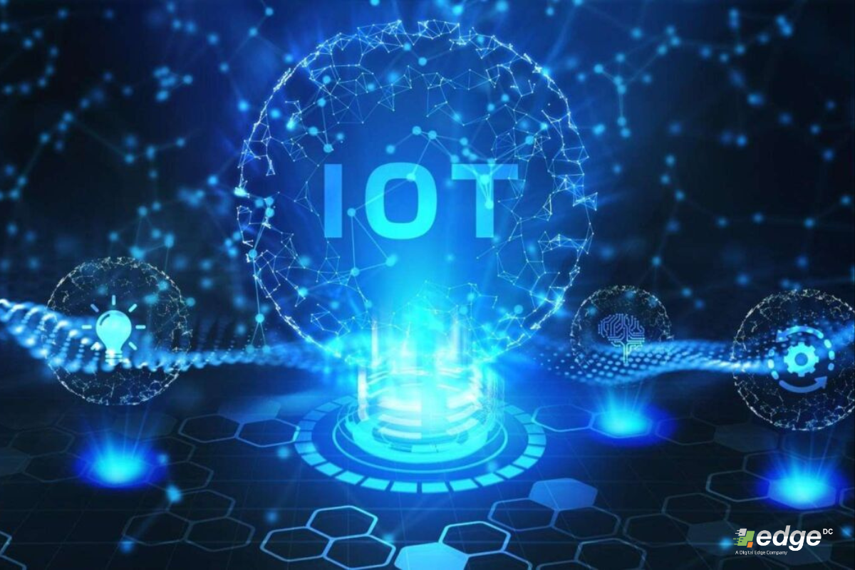 What is IoT (Internet of Things)? And How They Transform Business?