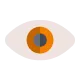 Visibilitas Lebih Baik​