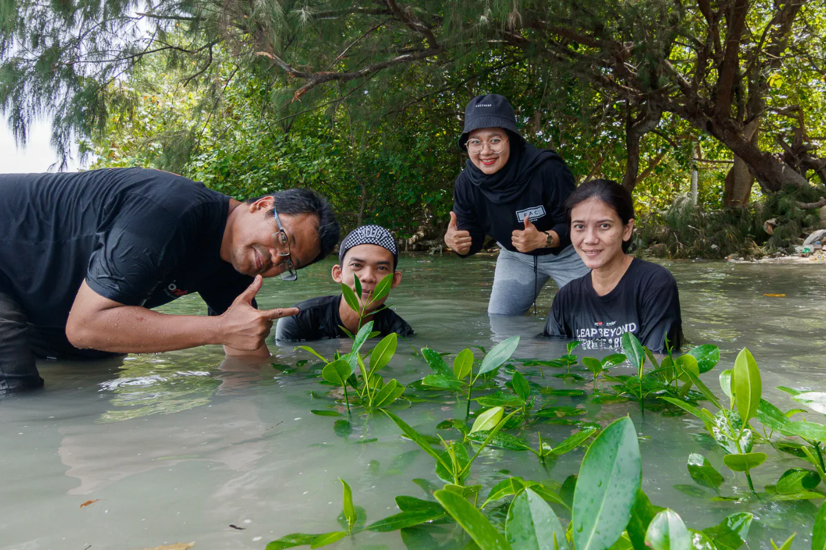 3000 Mangrove Plants for a Greener Future : EDGE DC Celebrates World Tree Day 2024